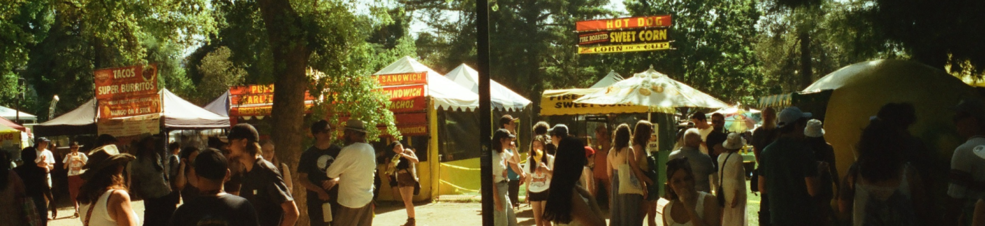 Picture shows people at the Whole Earth Festival talking to vendors and talking amongst themselves. The festival day is sunny and the image has a warm overlay.